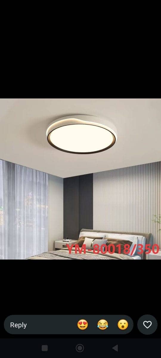 Ceiling Lights 13
