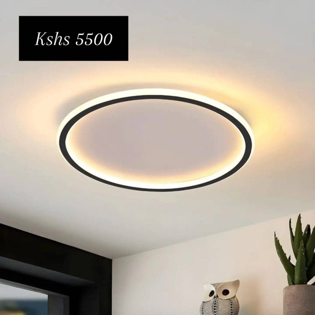 Ceiling Lights 14