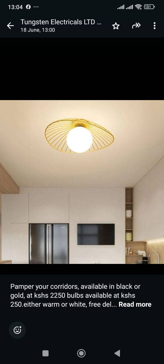 Decor Ceiling Lights