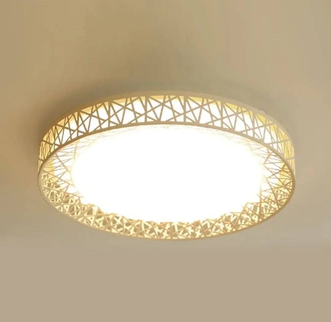 Ceiling Lights 15