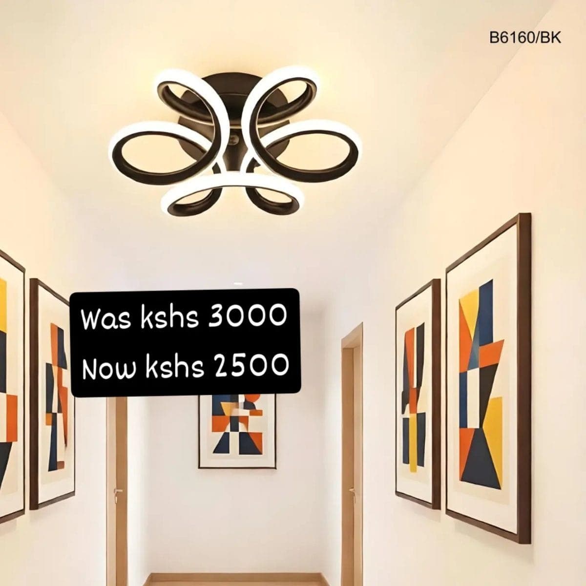 1001106898ceiling lights