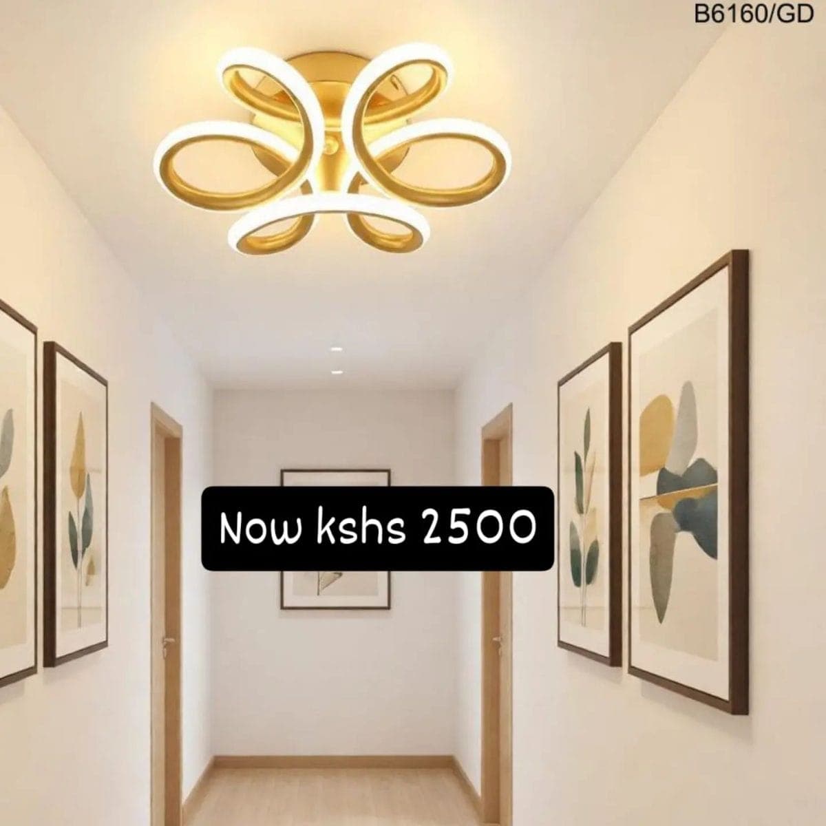 1001123450 ceiling lights