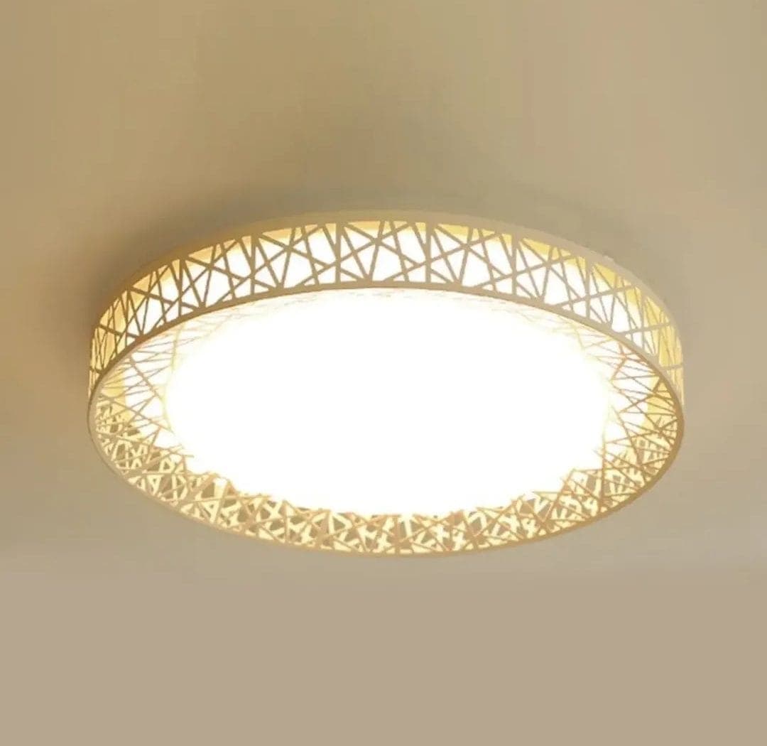 Ceiling lights